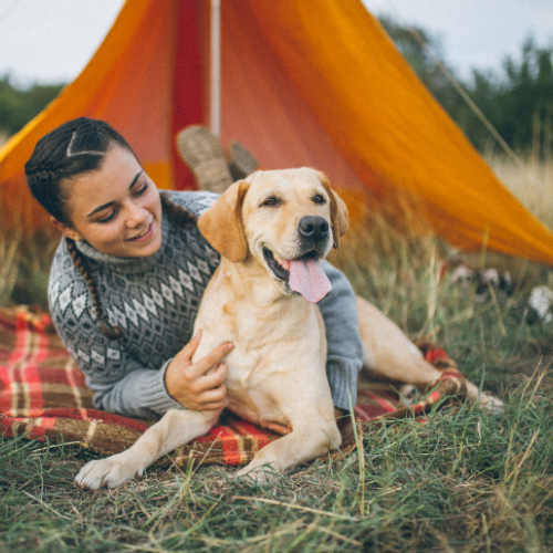 Dog Hiking and Camping Gear