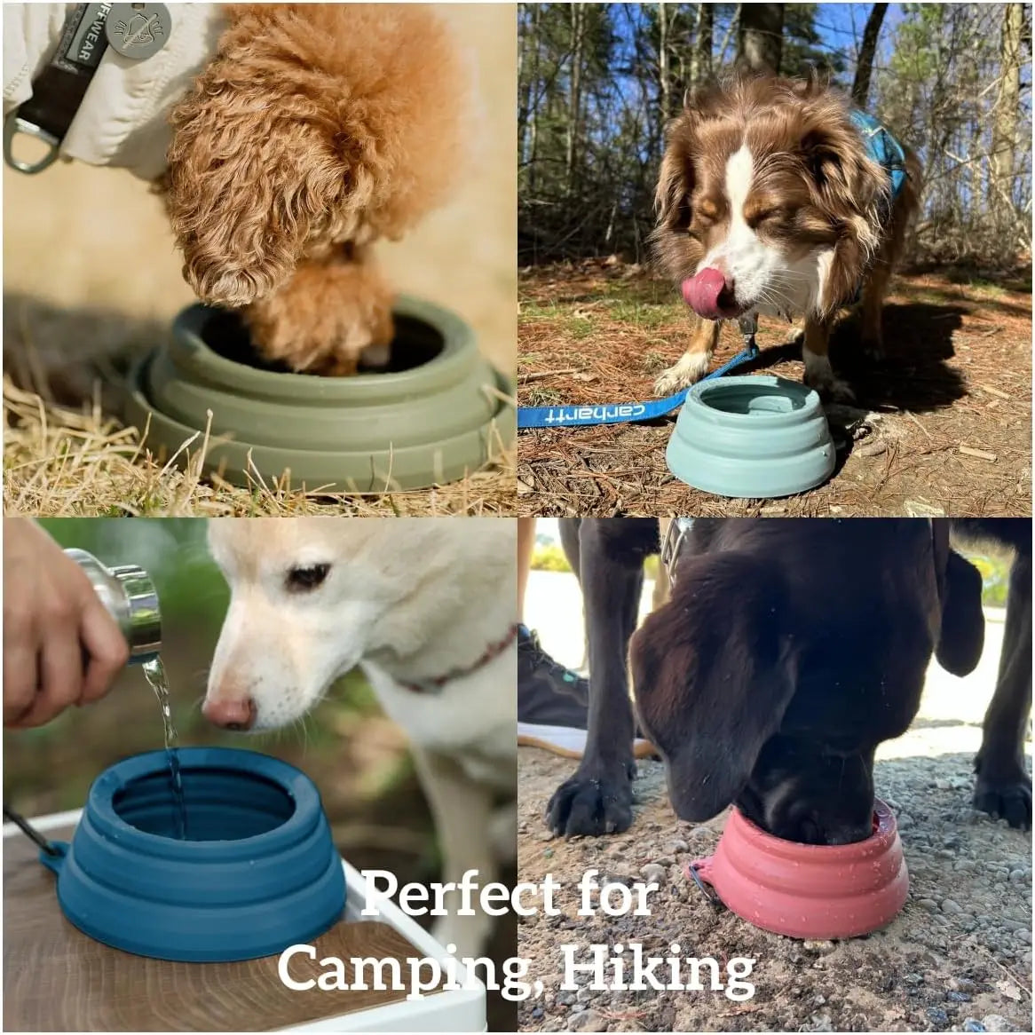 Collapsible Pet Travel Bowl, Spill-Proof Design