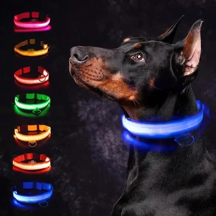 LED Glowing Dog Collar - Adjustable Rechargeable Light-Up Collar for Night Safety