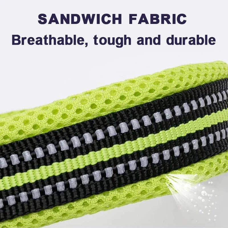 Traveling Dog Collar - Comfort Padded Collar for Medium & Large Dogs