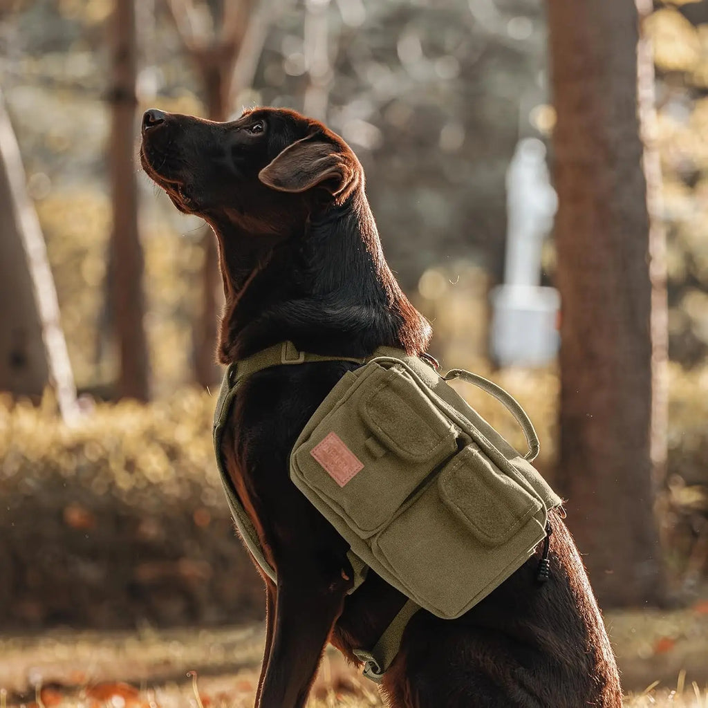 Dog Backpack with Saddlebags