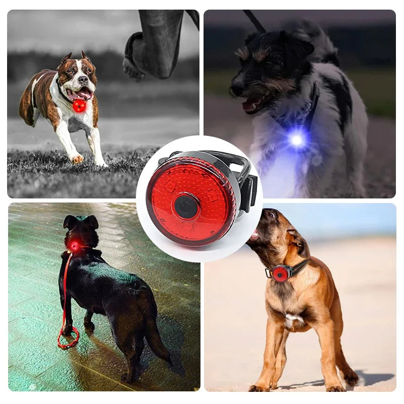 LED Dog Collar Pendant - USB Rechargeable Flashlight for Nighttime Safety