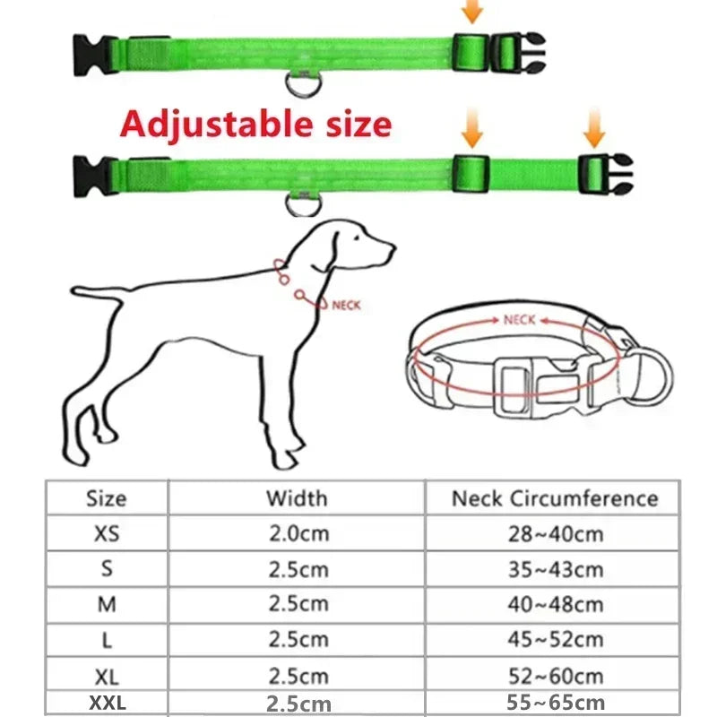 LED Glowing Dog Collar - Adjustable Rechargeable Light-Up Collar for Night Safety