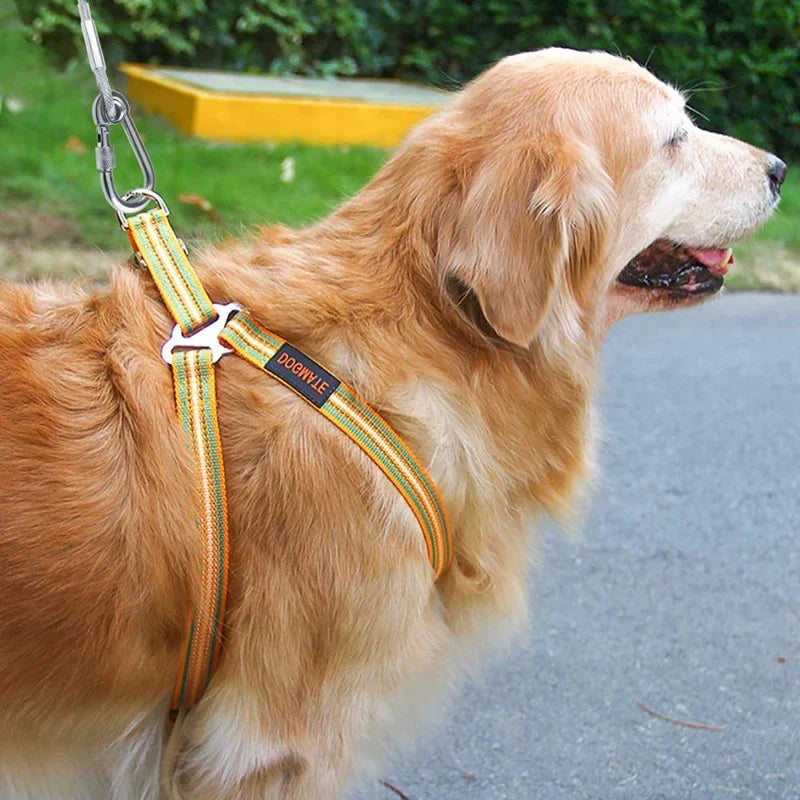 Double-headed Dog Tie Out Cable Leash