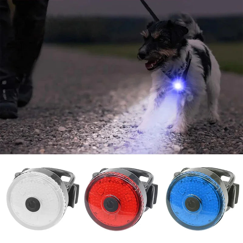 LED Dog Collar Pendant - USB Rechargeable Flashlight for Nighttime Safety