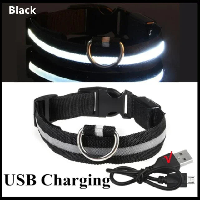 LED Glowing Dog Collar Adjustable Rechargeable