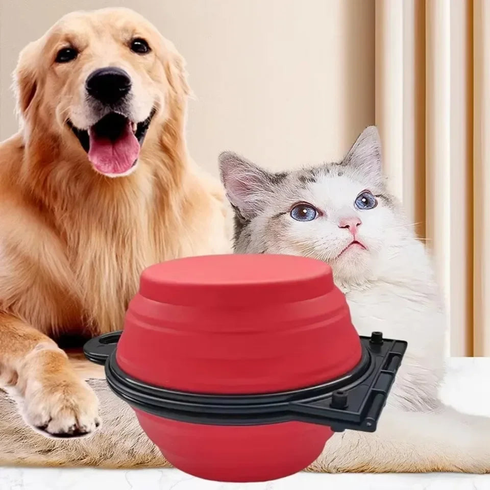 2-in-1 Foldable Dual Feeding, Drinking Bowl
