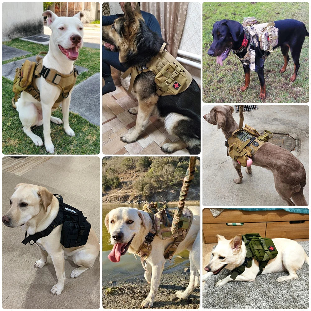 Tactical Harness Collar Leash Set (S/M) - Complete Training System for Small & Medium Dogs
