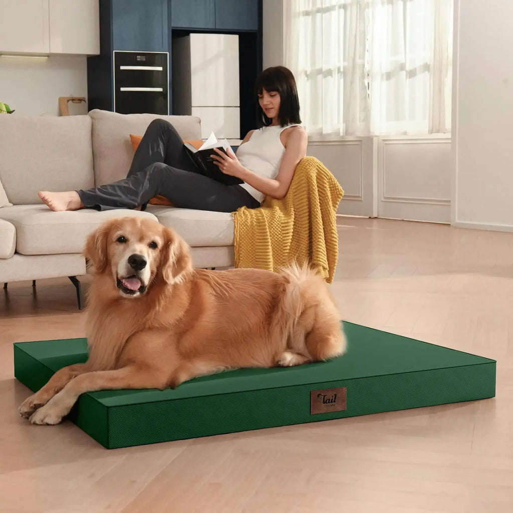 Outdoor All Weather Dog Bed