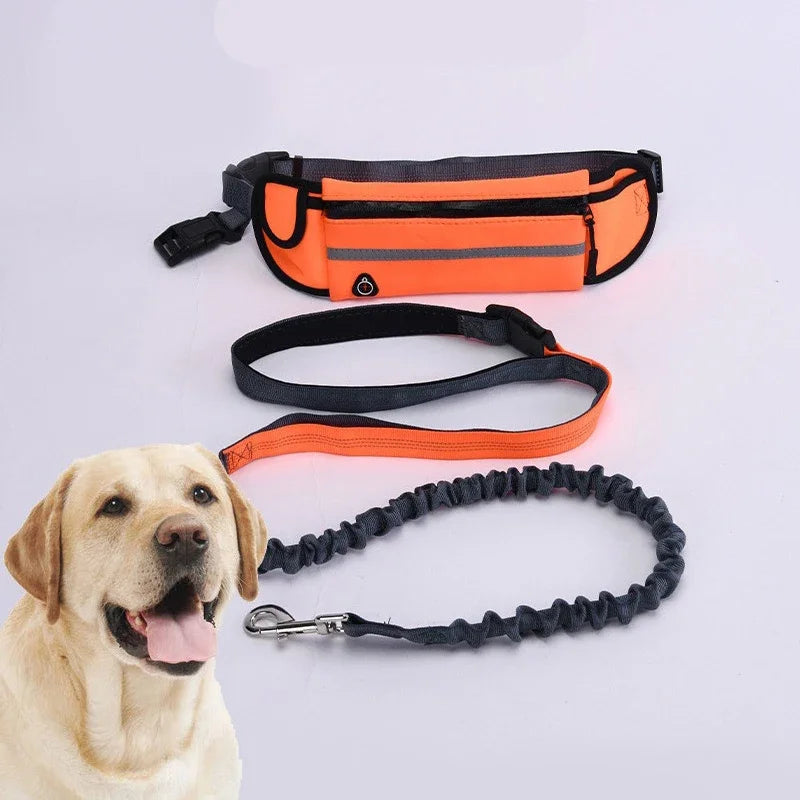 Hands Free Dog Leash, Reflective and Retractable