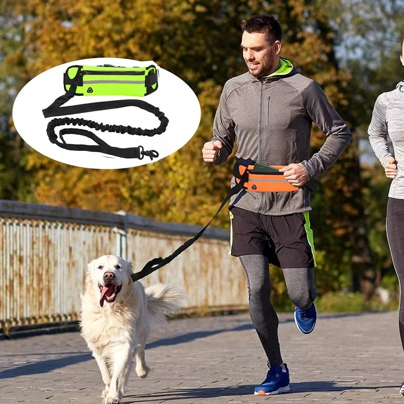 Hands Free Dog Leash, Reflective and Retractable