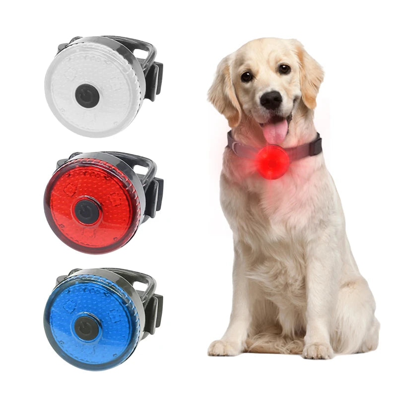 LED Dog Collar Pendant - USB Rechargeable Flashlight for Nighttime Safety