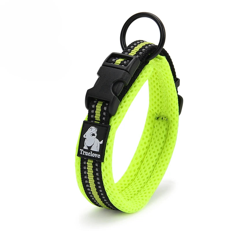 Traveling Dog Collar, Comfort Padded, for M/L Dogs