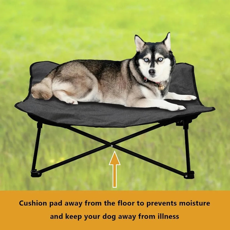 Folding Dog Bed, Portable Raised, Carrying Bag Included