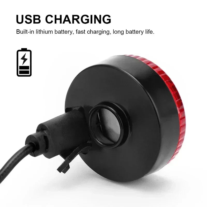 LED Dog Collar Pendant - USB Rechargeable Flashlight for Nighttime Safety