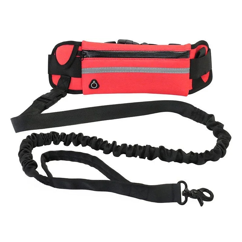 Hands Free Dog Leash, Reflective and Retractable