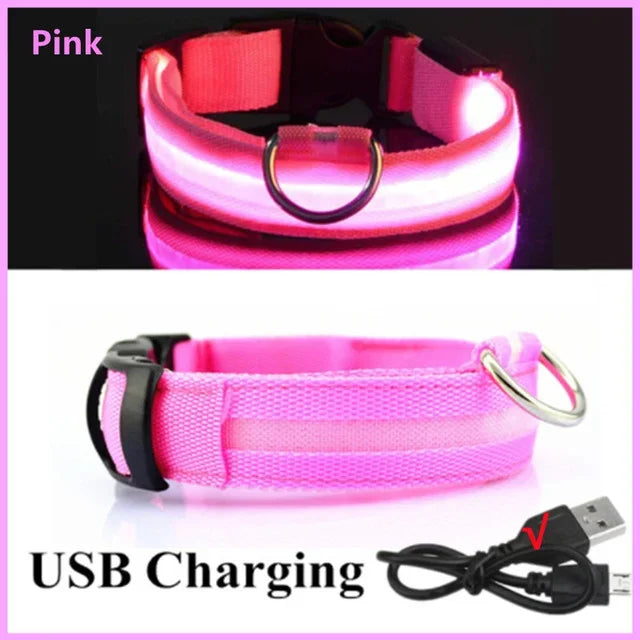 LED Glowing Dog Collar Adjustable Rechargeable