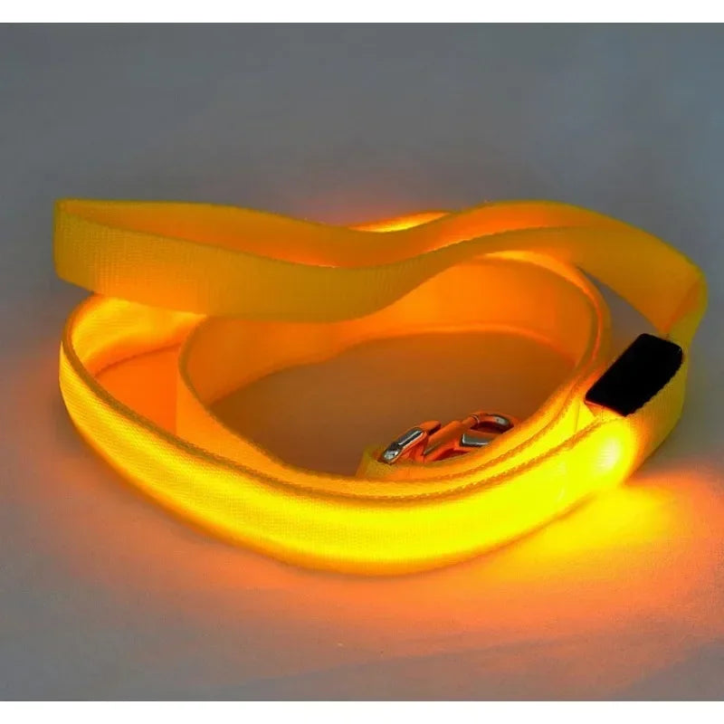 Glowing Leash LED Safety Lead