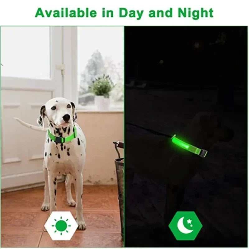LED Glowing Dog Collar - Adjustable Rechargeable Light-Up Collar for Night Safety