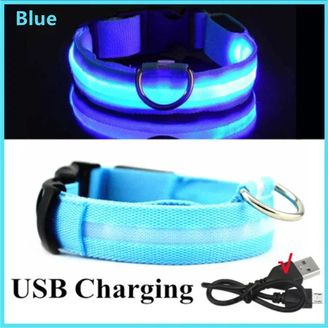 LED Glowing Dog Collar Adjustable Rechargeable