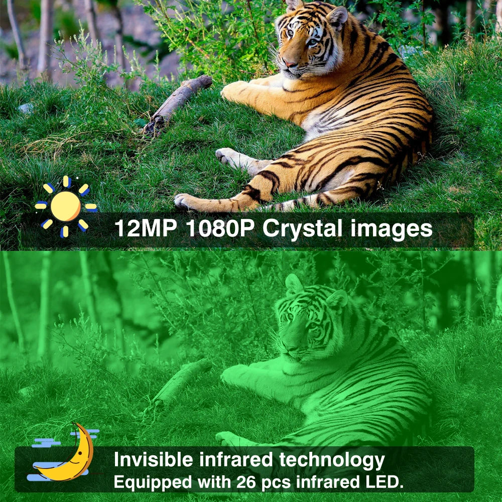 12MP Trail Camera Waterproof, Day / Night Video & Stills