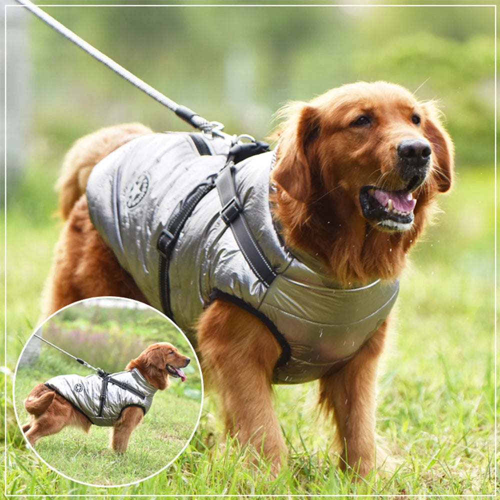 Insulated Dog Jacket with Harness, Waterproof