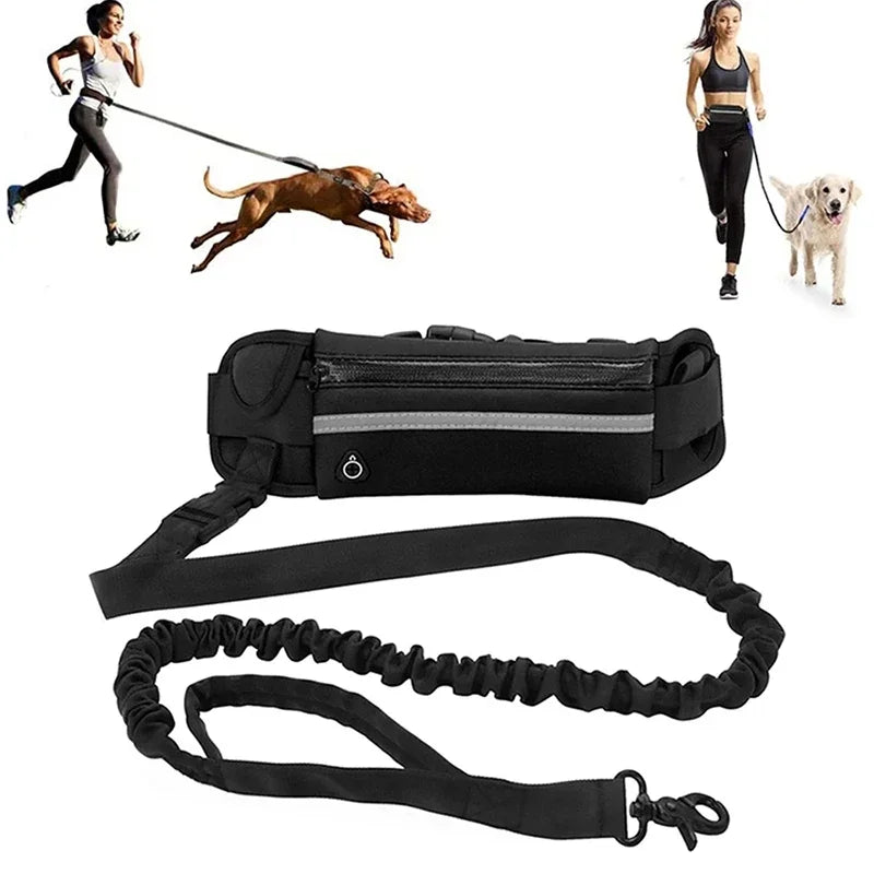 Hands Free Dog Leash, Reflective and Retractable