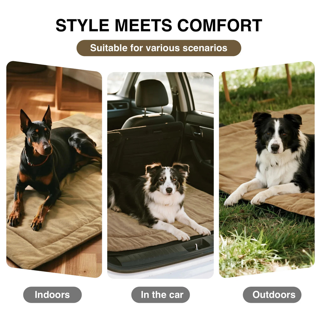 Outdoor Portable Dog Mat, Roll-Up, Washable