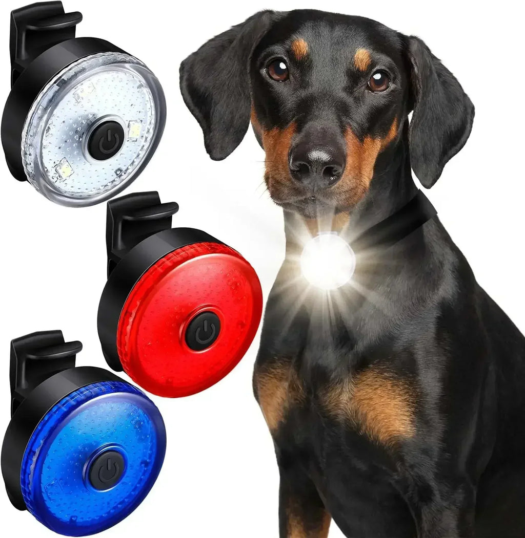 LED Dog Collar Pendant - USB Rechargeable Flashlight for Nighttime Safety