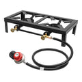Portable 2-Burner Propane Stove with Regulator Hose