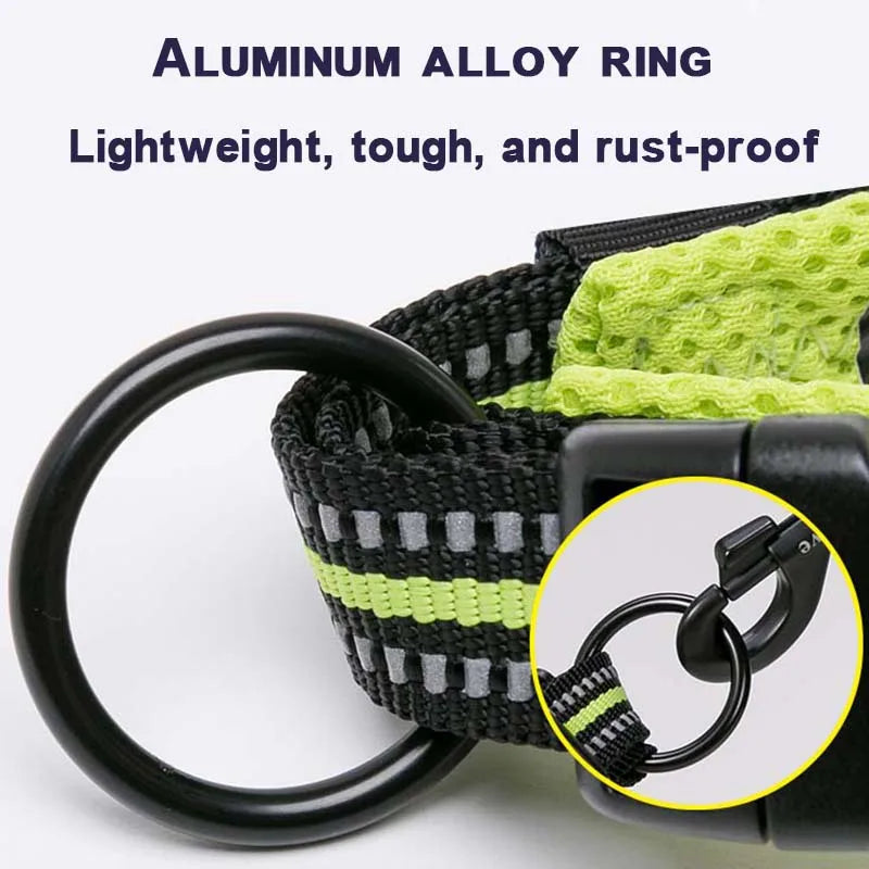 Traveling Dog Collar - Comfort Padded Collar for Medium & Large Dogs