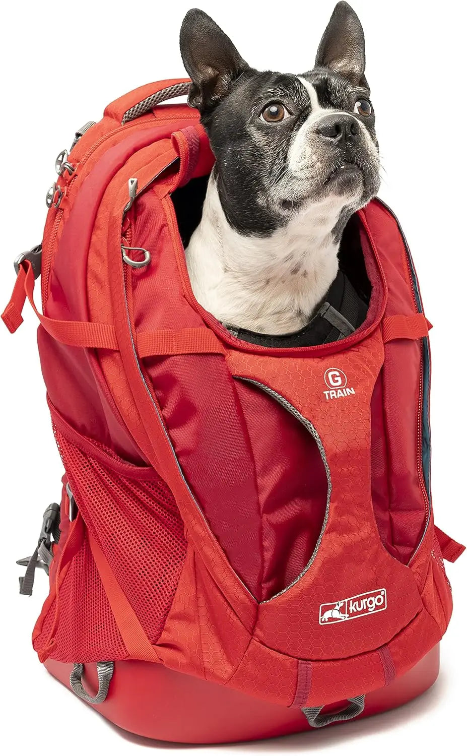 Comfortable Dog Carrier Backpack Up to 25 lbs