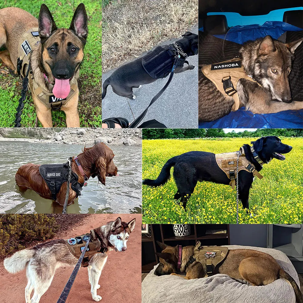 6pc Tactical Dog Harness, Collar, And Leash Set