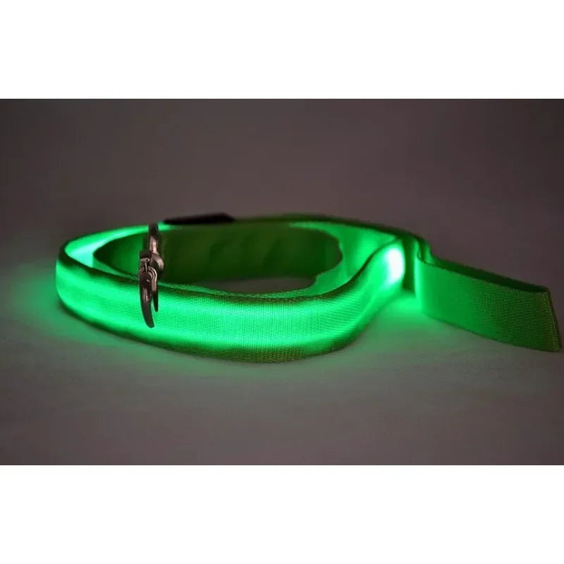 Glowing Leash LED Safety Lead