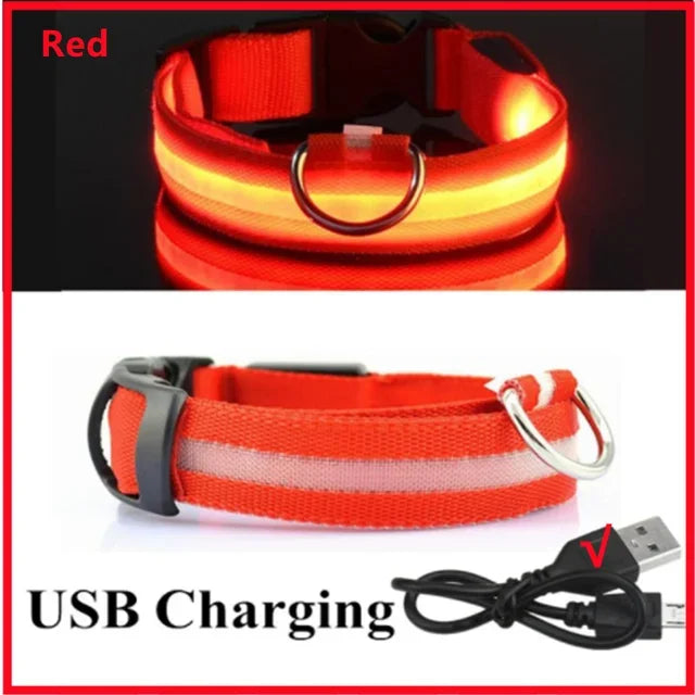 LED Glowing Dog Collar Adjustable Rechargeable