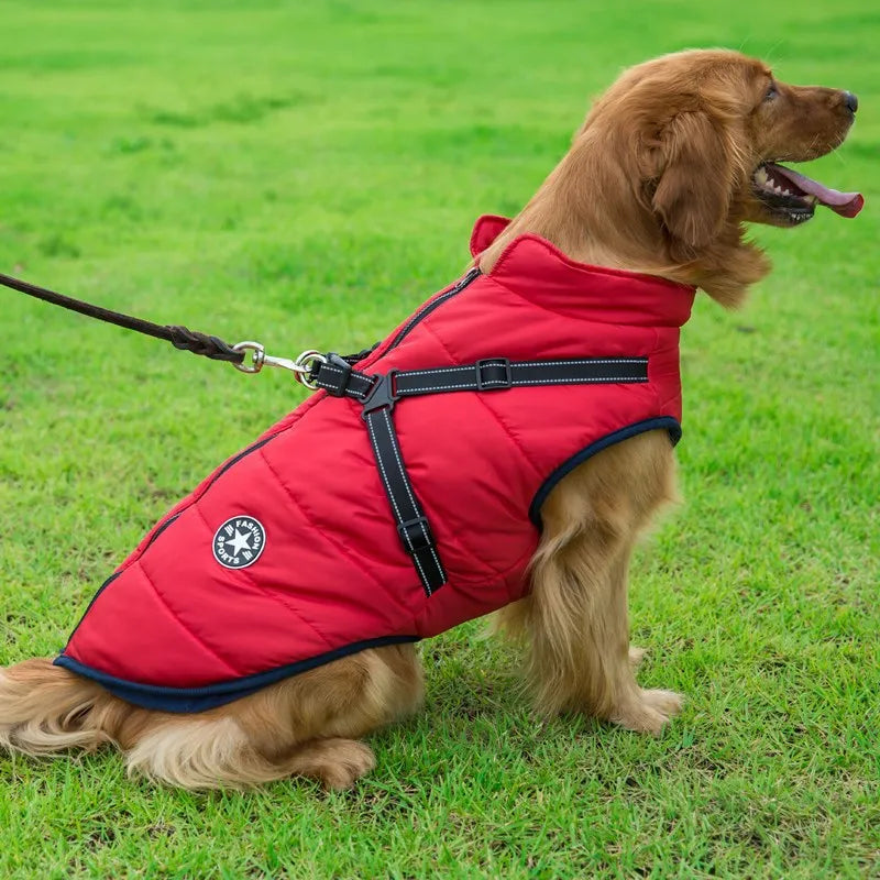 Insulated Dog Jacket with Harness, Waterproof