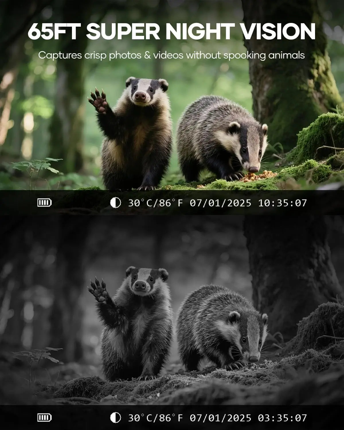 Solar Trail Camera 48MP, WiFi Bluetooth, Night Vision, Waterproof